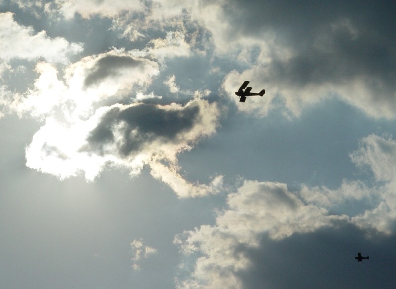 Kings of the sky