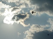 Kings of the sky